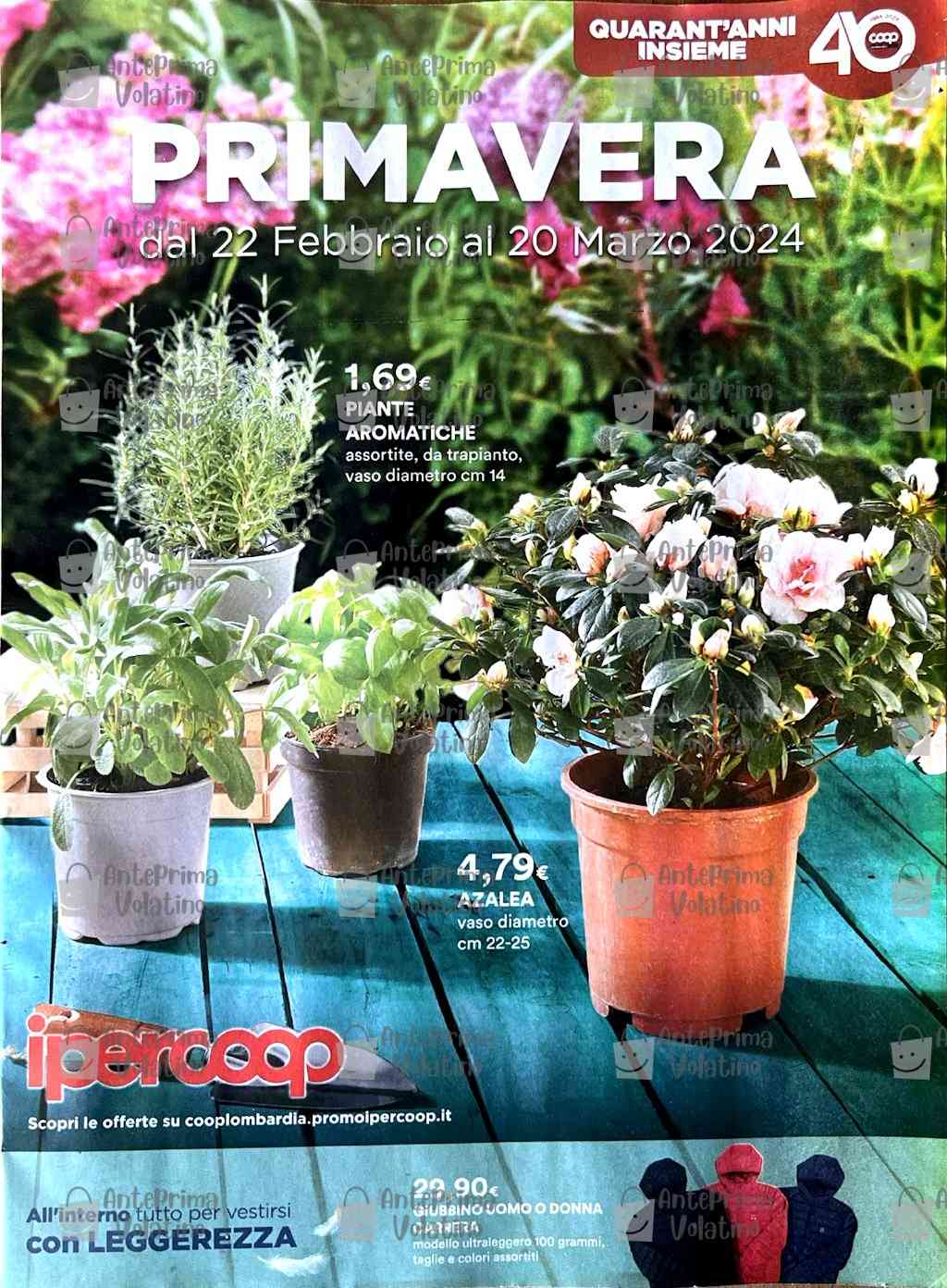Volantino Ipercoop Giardino dal 22 febbraio al 20 marzo 2024