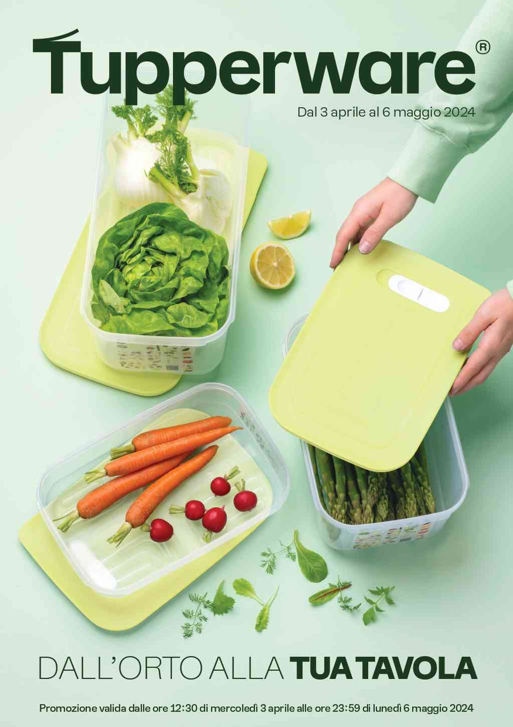 Catalogo Tupperware dal 3 aprile al 6 maggio 2024