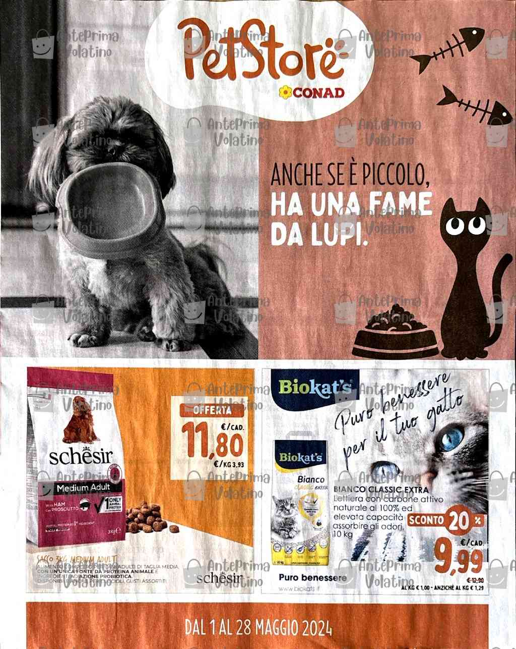 Volantino Conad Pet Store dal 1 al 28 maggio 2024