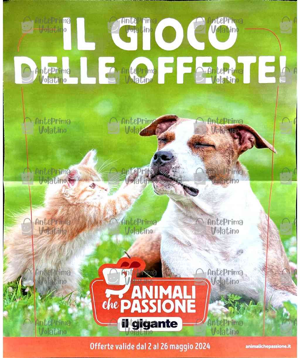 Volantino Il Gigante Animali dal 2 al 26 maggio 2024