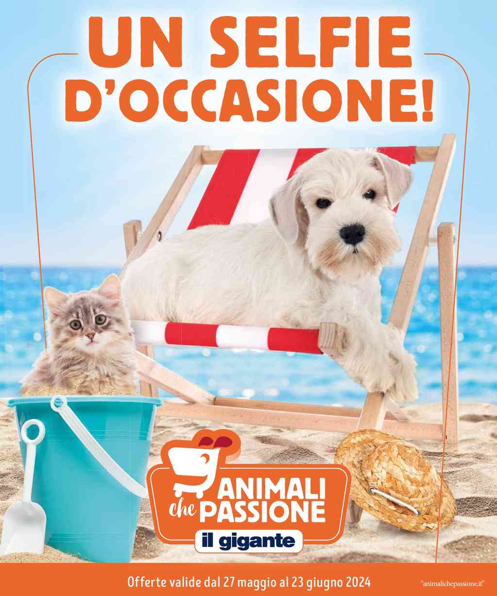 Volantino Il Gigante Animali dal 27 maggio al 23 giugno 2024