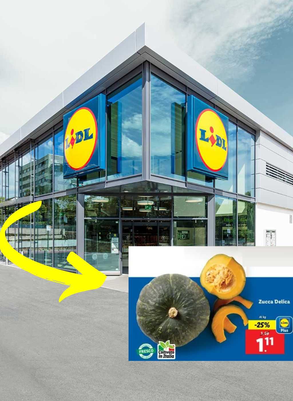 Zucca Delica: proprietà, ricette e offerte da non perdere da Lidl