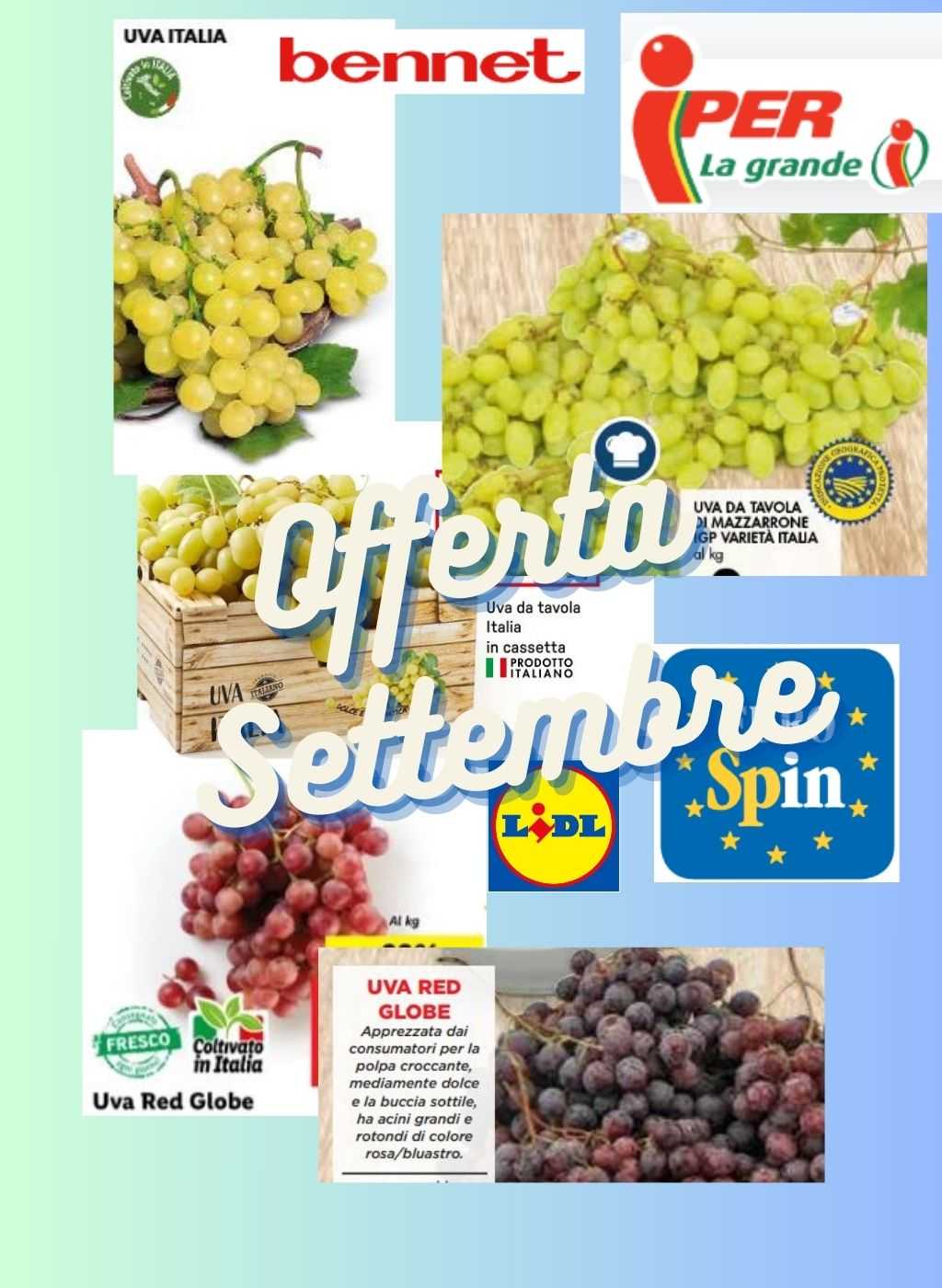 Offerte Uva Settembre 2024: perché fa bene e dove comprarla tra Lidl, Eurospin, Iper e Bennet