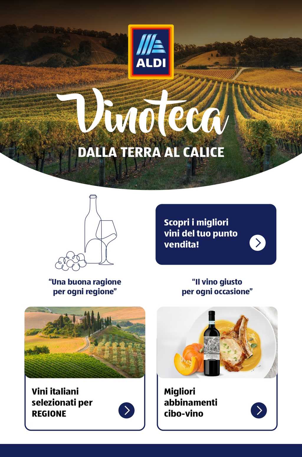 Volantino Aldi Vinoteca 2024