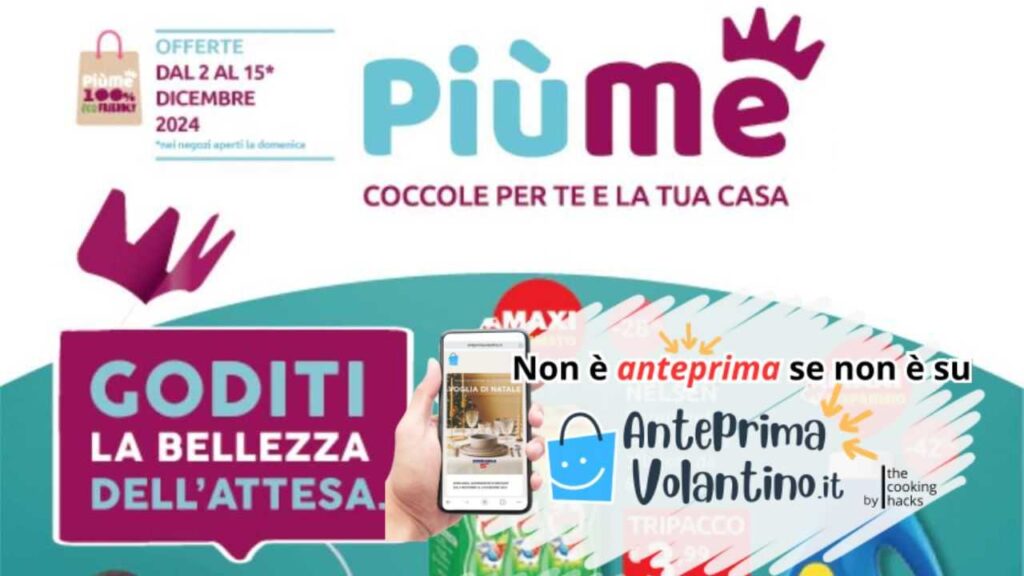 Volantino PiùMe dal 2 al 15 Dicembre 2024