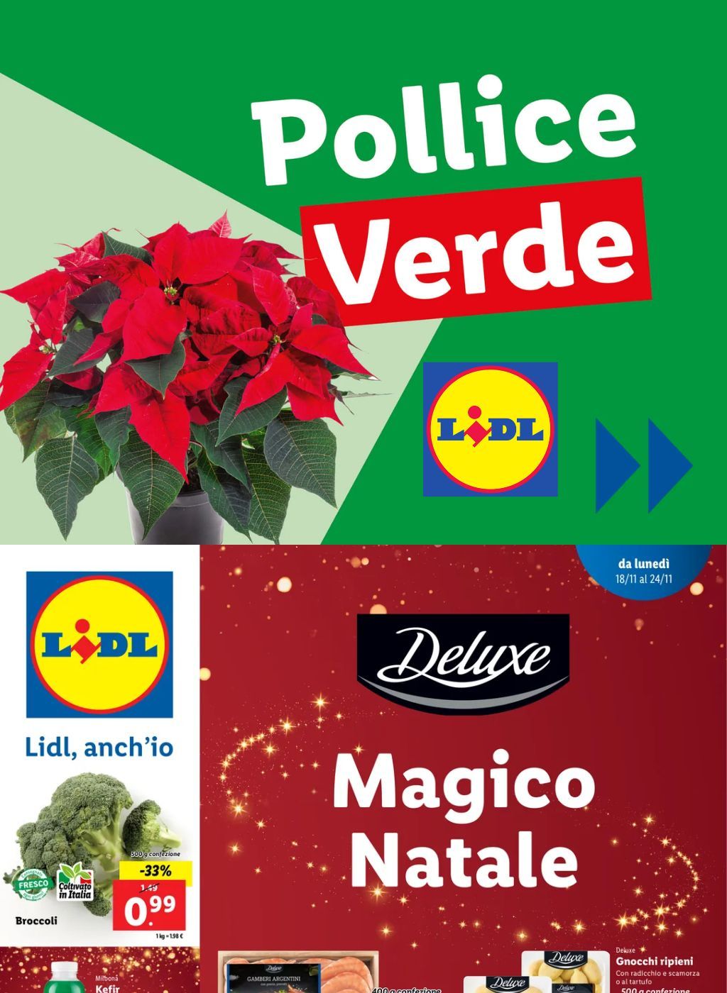 Trasforma la tua casa per il Natale con le offerte Lidl su piante e fiori