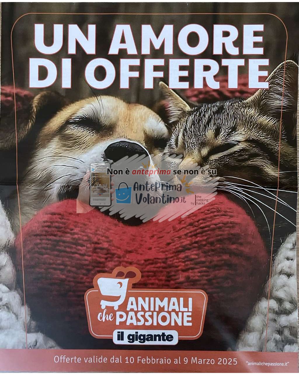 Volantino Il Gigante Animali che Passione dal 10 febbraio al 9 marzo 2025