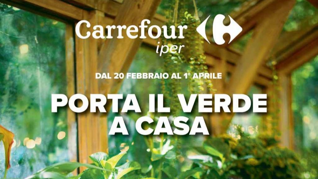 Volantino Carrefour Speciale Porta il Verde a Casa fino al 1 aprile 2025