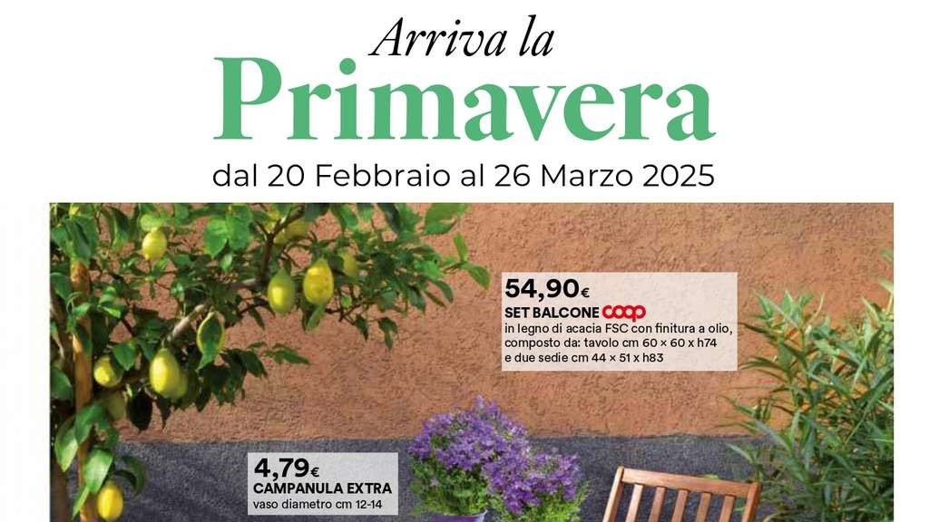 Volantino Ipercoop Speciale Primavera fino al 26 marzo 2025
