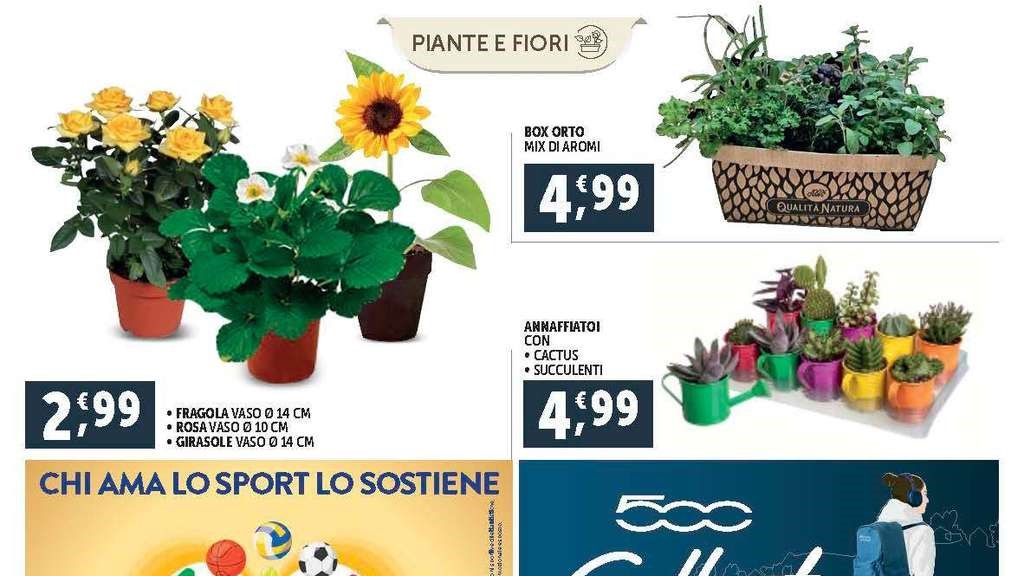 piante e fiori da Decò