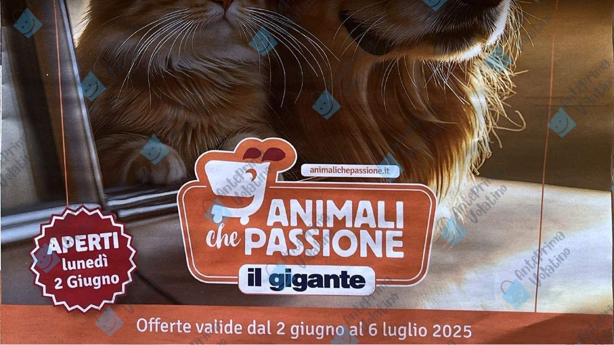 Volantino Il Gigante Animali che Passione dal 2 giugno 2025