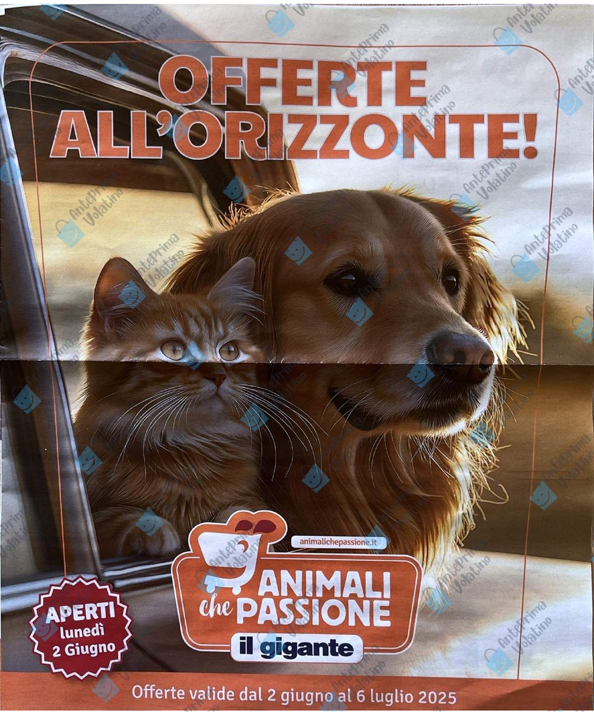 Volantino Il Gigante Animali che Passione dal 2 giugno 2025