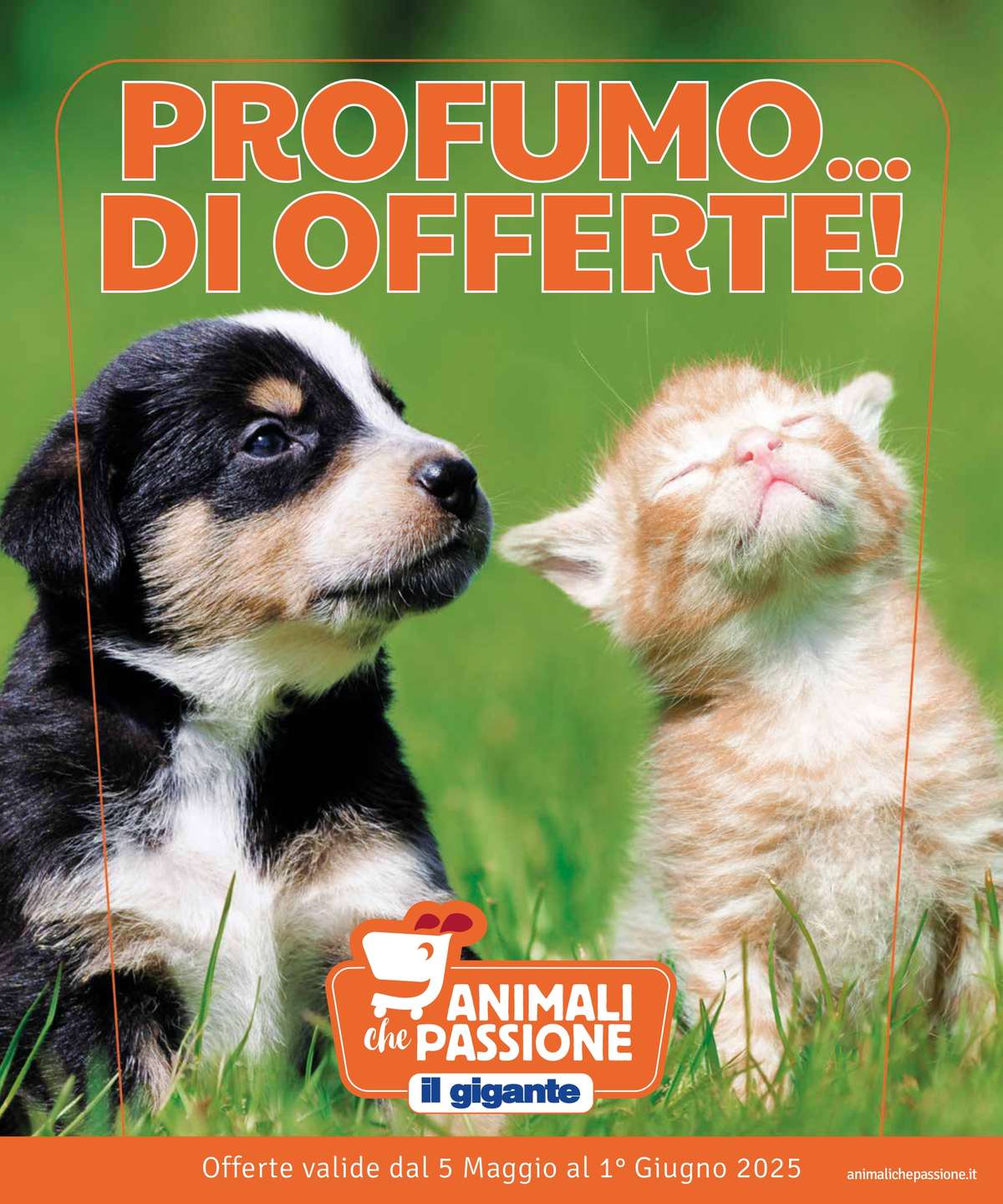 Volantino Il Gigante Animali che Passione dal 5 maggio 2025