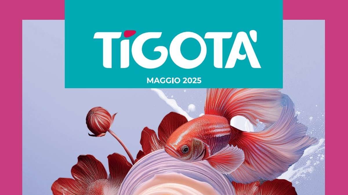 Volantino Tigotà Maggio 2025