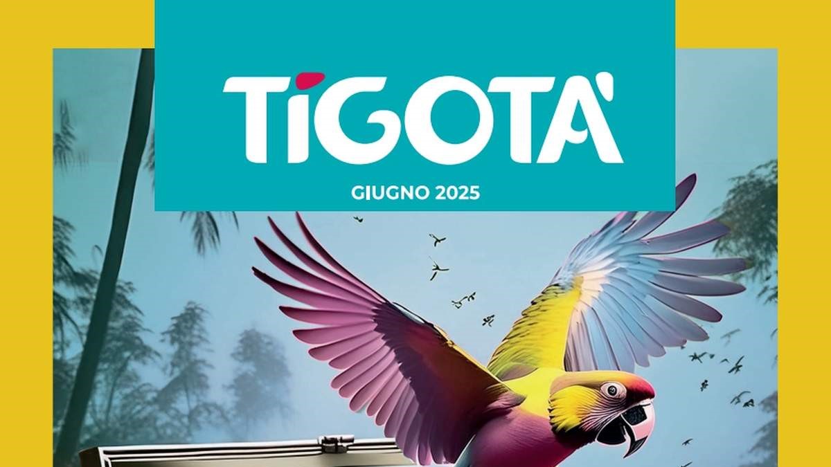 Volantino Tigotà Giugno 2025