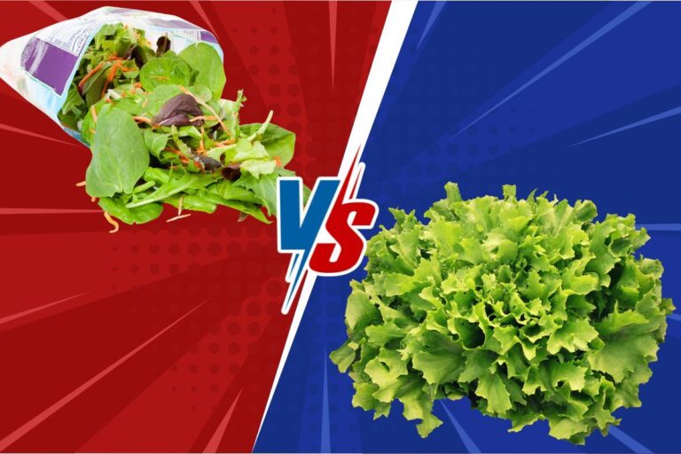 Insalate in busta: risparmio o trappola? I prezzi al chilo parlano chiaro