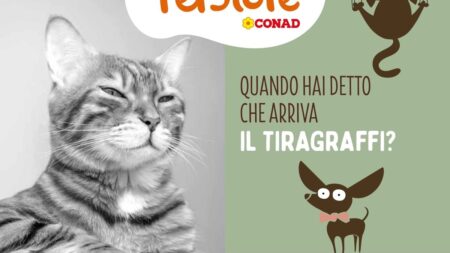 Volantino Pet Store Conad di Settembre 2025