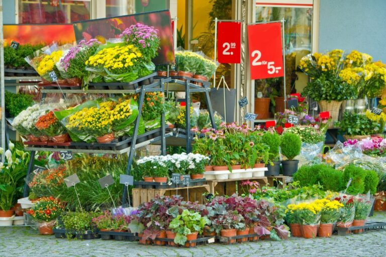 Piante al supermercato, come scegliere e dare loro nuova vita