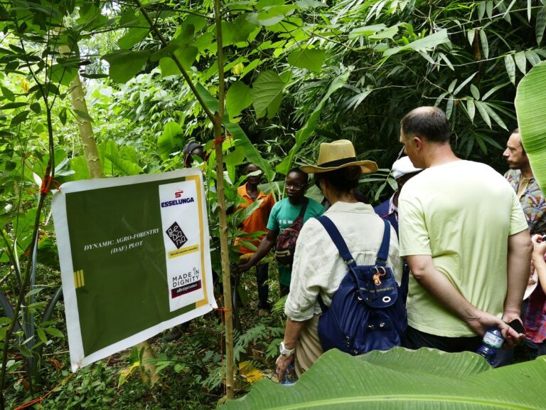 Cacao sostenibile Esselunga e Altromercato, i risultati in Togo e l’avvio del progetto in Madagascar