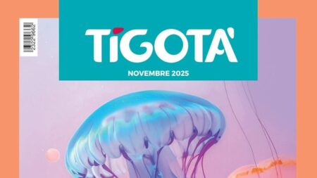 Volantino Tigotà Novembre 2025