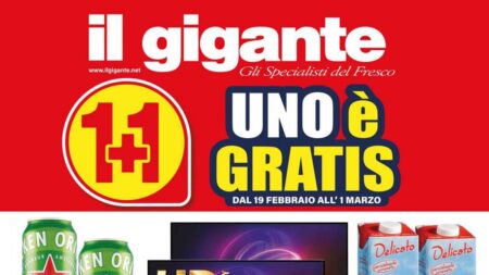 Volantino Il Gigante dal 19 febbraio 2026