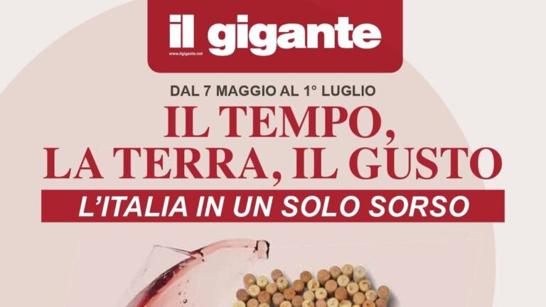 Volantino Il Gigante Speciale Vini dal 7 maggio 2026