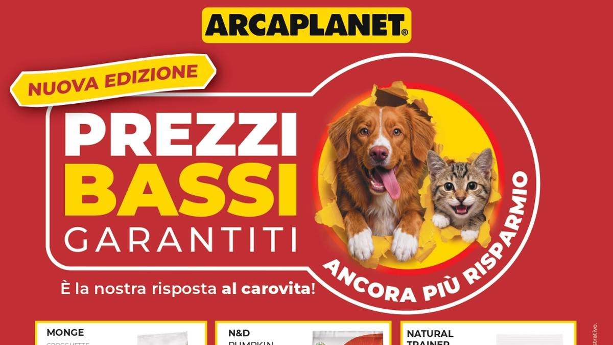 Volantino Arcaplanet dal 2 luglio 2026