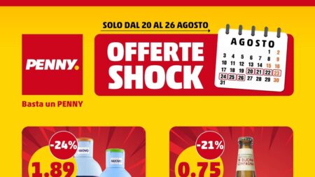 Volantino Penny Offerte Shock dal 20 agosto 2026