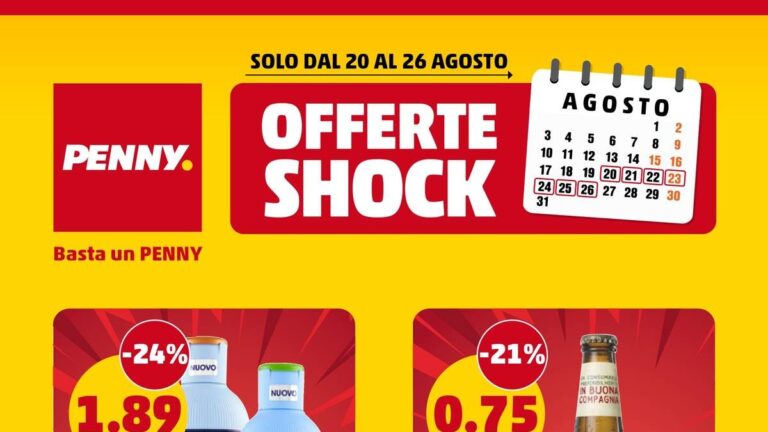 Volantino Penny Offerte Shock dal 20 agosto 2026