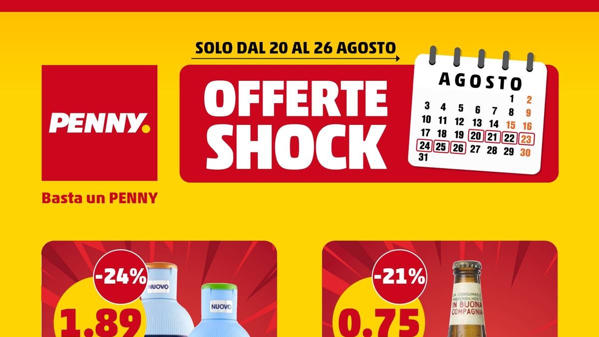 Volantino Penny Offerte Shock dal 20 agosto 2026