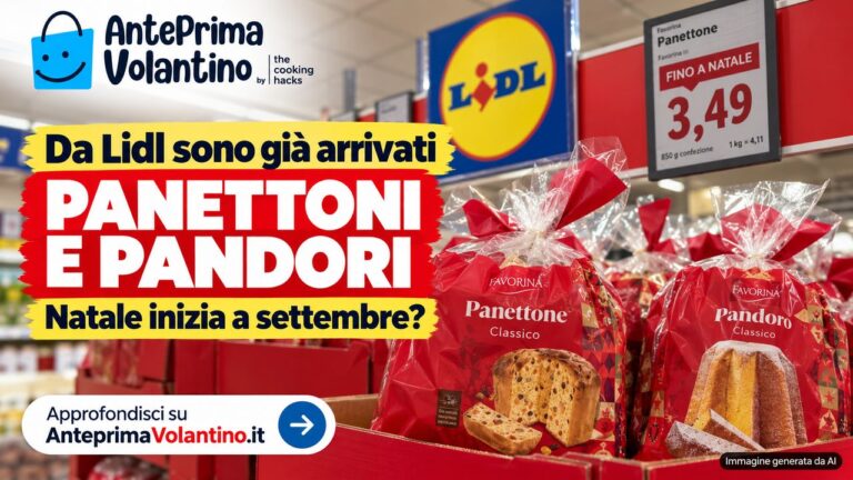 Da Lidl sono già arrivati panettoni e pandori, Natale inizia a settembre?