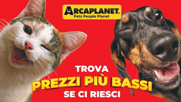 Volantino Arcaplanet Prezzi Bassi di Novembre 2026