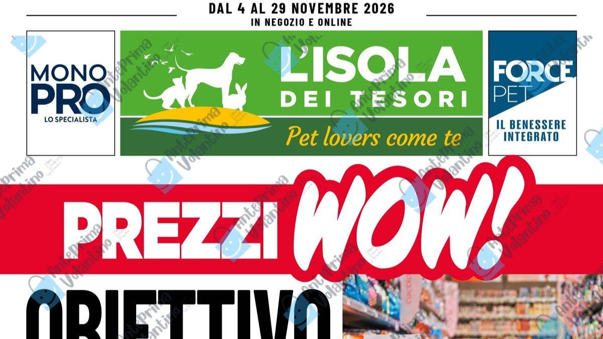 Volantino Isola dei Tesori Novembre 2026