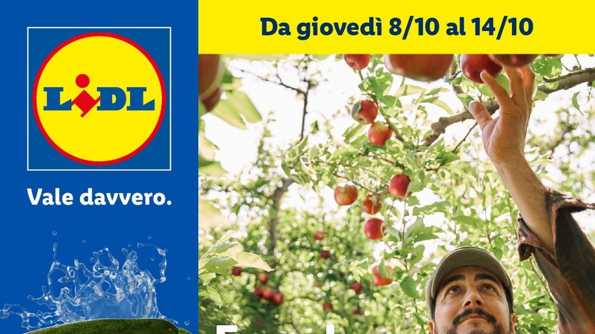 Volantino Lidl Frutta e Verdura dal 8 ottobre 2026, zucchine a 1,29 euro, zucca Hokkaido e offerte fino al 14 ottobre